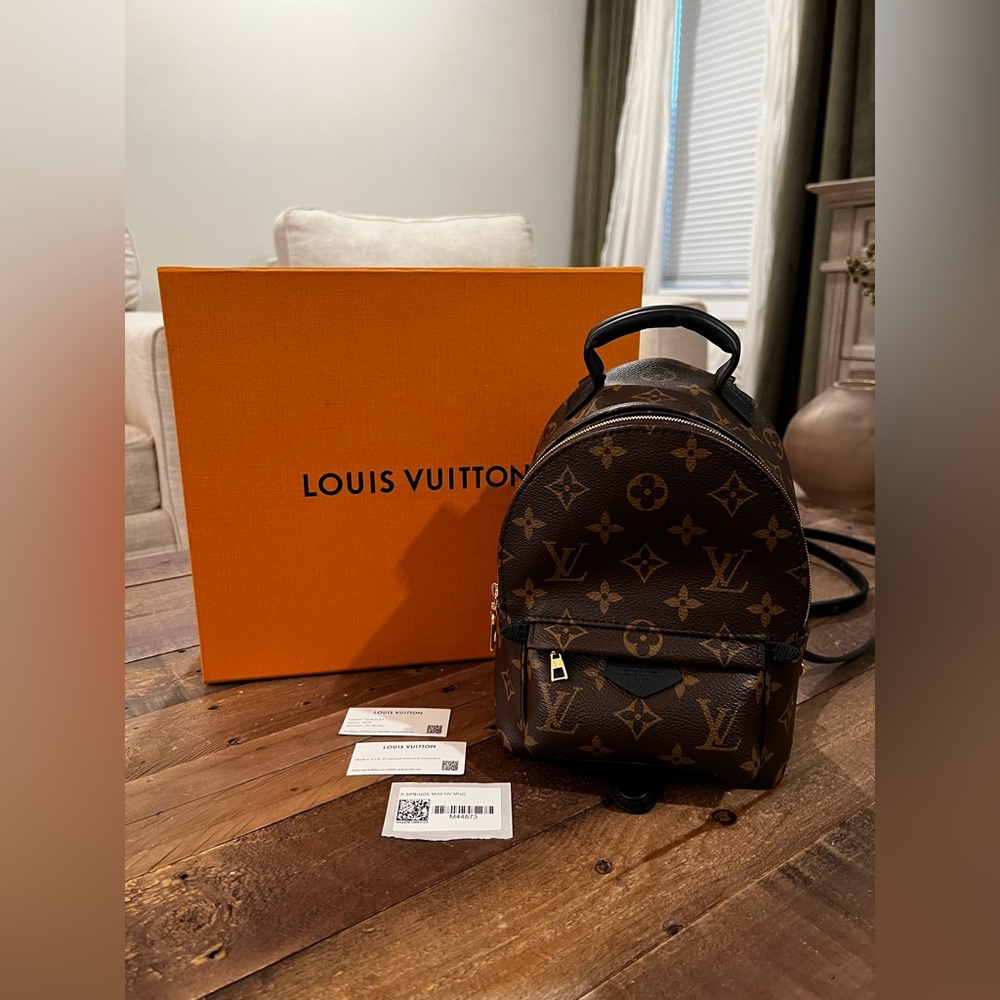 Louis Vuitton Palm Springs Mini Backpack